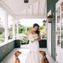Bride and Dogs