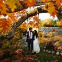 Leslie Swan Photography LLC